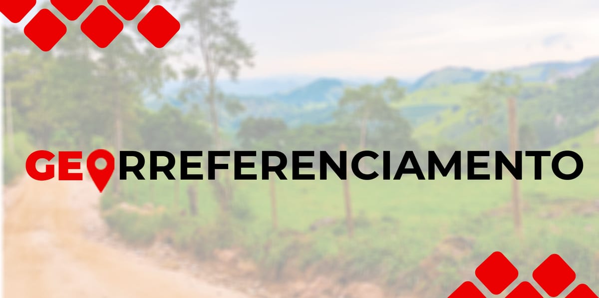 Georreferenciamento das Áreas: Como os Mapas do Projeto Foram Produzidos